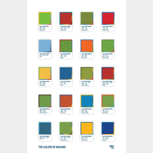 Alohatones: The Colors of Macaws